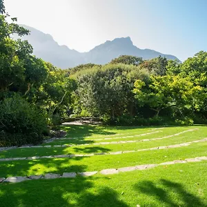 Vineyard Zuid-Afrika